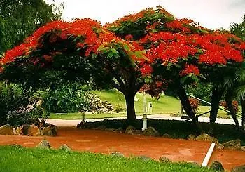 Üdülőközpont Parque Vacacional Eden
